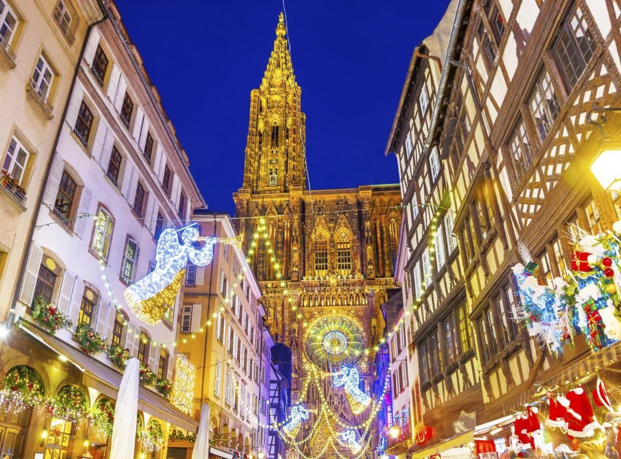 Appartements De La Pleiade Strasbourg Bagian luar foto